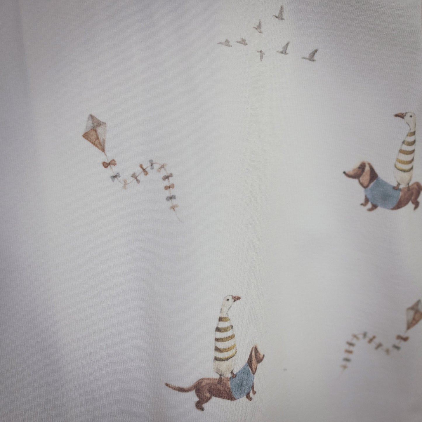 T-shirt dogs & ducks